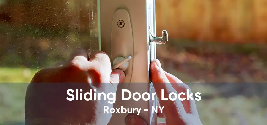 Sliding Door Locks Roxbury - NY